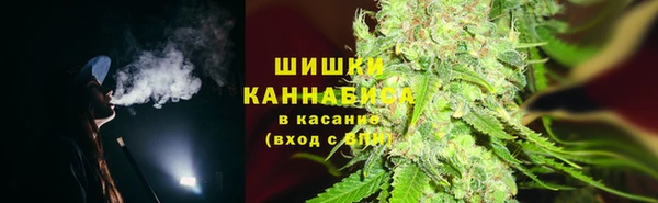 spice Инсар