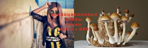марихуана Инта
