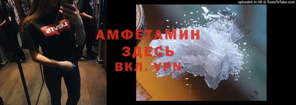 spice Инсар