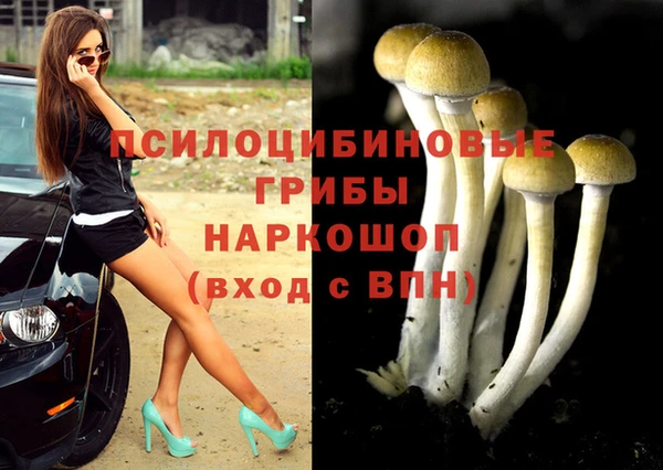 spice Инсар