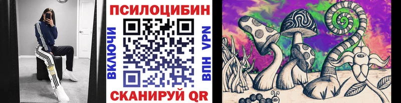 Псилоцибиновые грибы Magic Shrooms  Купить закладки  Волоколамск 